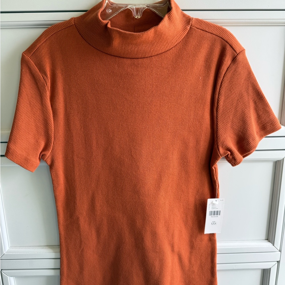 Maeve Rust Ribbed Turtleneck Top